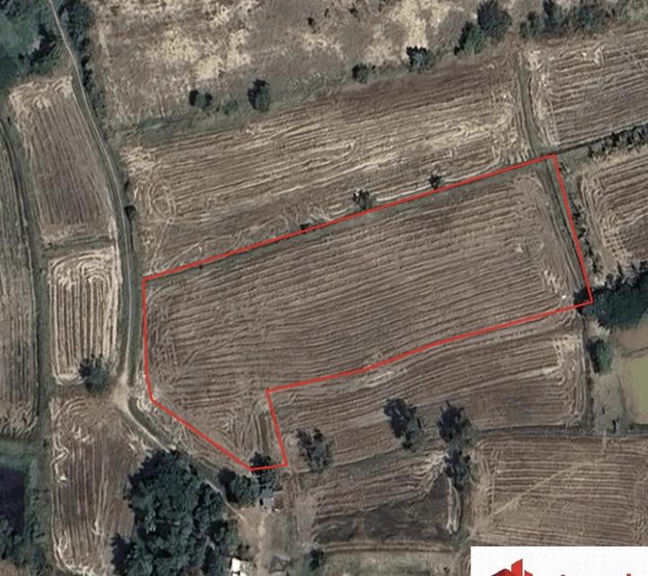 ขายที่ดินในตัวเมืองชัยภูมิ 4ไร่ 2.9ล้าน 6