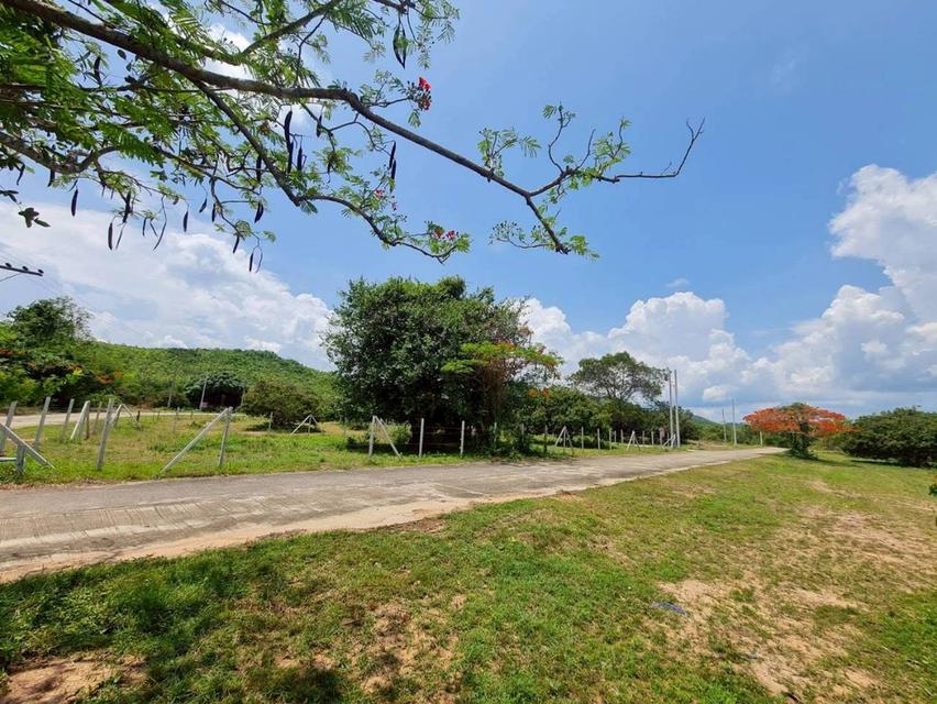 Landing LamPhun / ที่ดินลำพูน 7