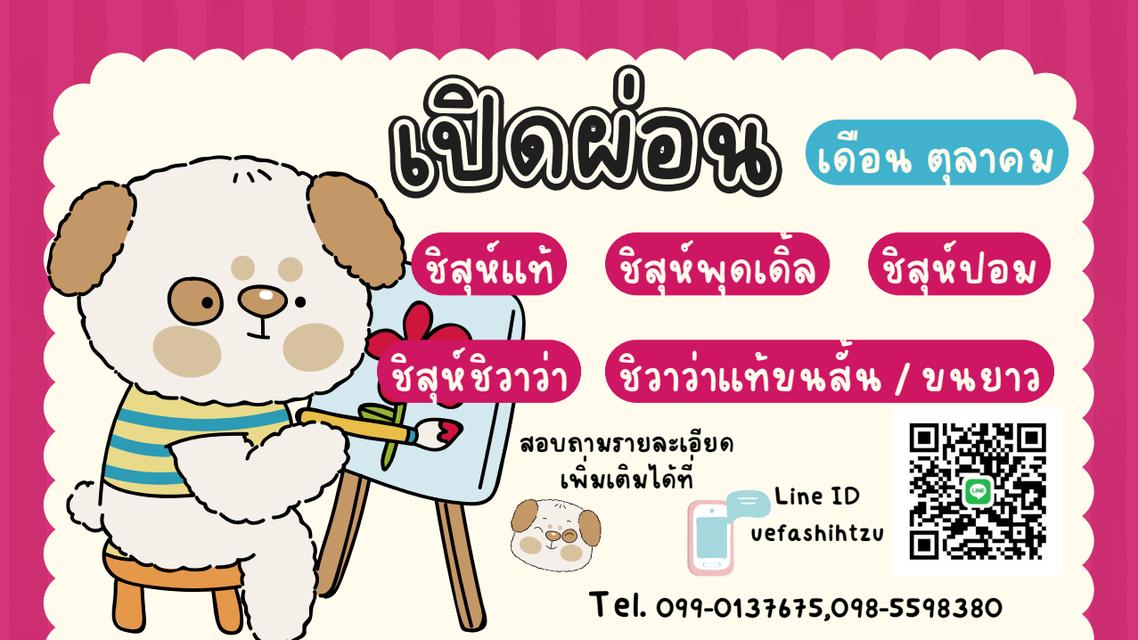เปิดผ่อนลูกสุนัขพันธุ์เล็ก