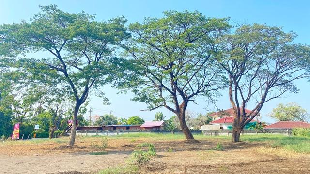 แยกท่าอิฐ ราชพฤกษ์ ให้เช่าที่ดินถมแล้ว 2ไร่ 2งาน 76ตร.วา. MRT บางรักน้อยท่าอิฐ 2.4กม. ตลาดสดท่าอิฐ 1.2 กม. สนามไดร์ฟกอล์ 7