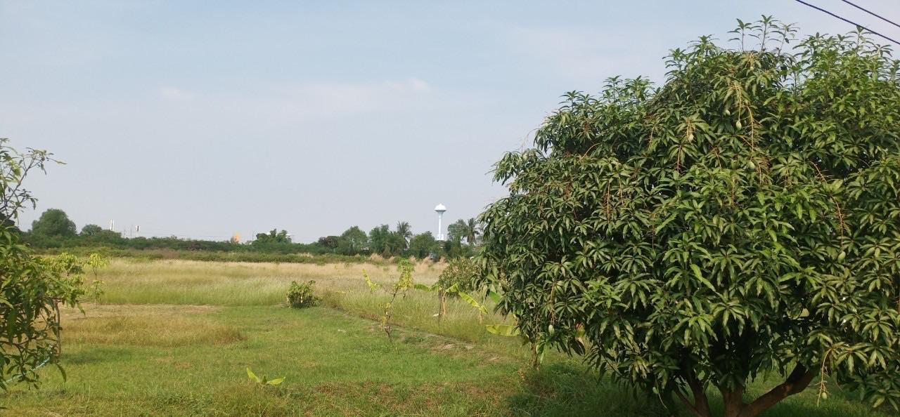 ขายที่ดินเปล่าถมแล้ว ติดถนนพระราม 2 ใกล้ทางด่วนกาญจนาภิเษก-วงแหวนอุตสาหกรรม 16