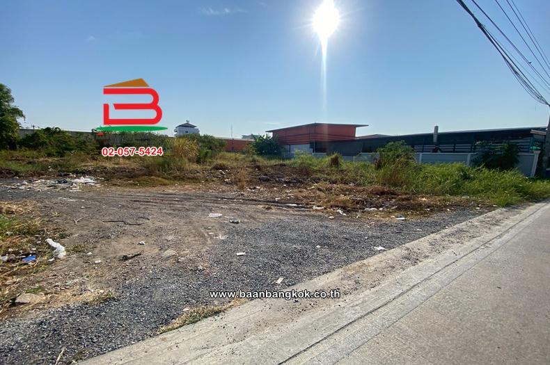 ให้เช่า ที่ดินเปล่า เนื้อที่ 200 ตร.ว. ซอยรังสิต-นครนายก 10 (ใกล้ฟิวเจอร์พาร์ครังสิต) ถนนรังสิต-นครนายก ตำบลประชาธิปัตย์ อำเภอธัญบุรี ปทุมธานี 1