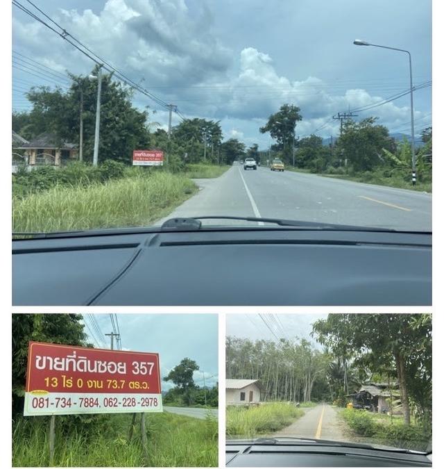 ทีดินปัตตานี 4