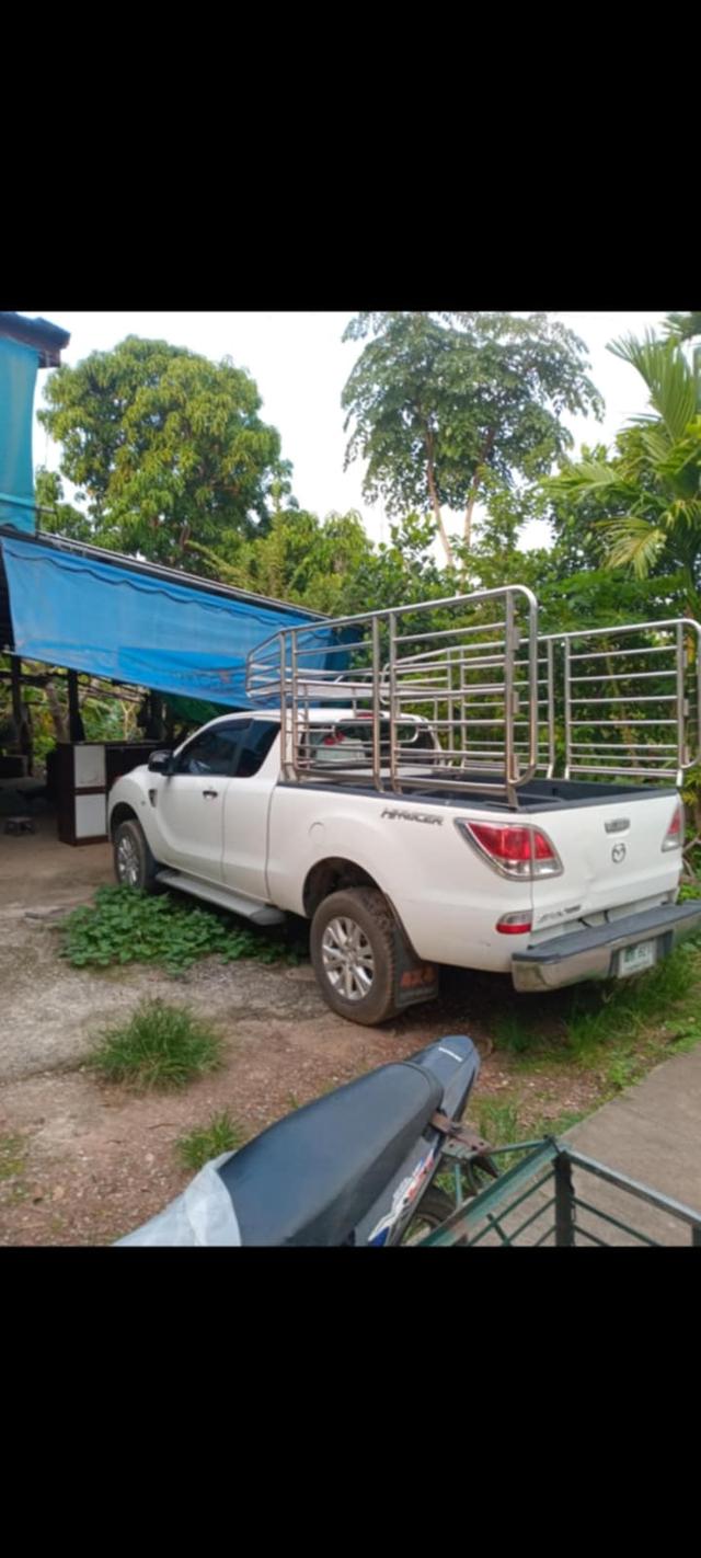 คอกสูงขาย 8,000 สแตนเลสแท้บางบัวทอง