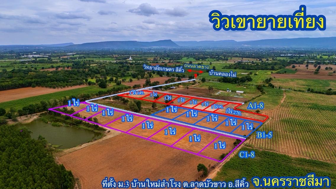 (โฉนด) ที่ดินแบ่งขาย ไร่ละ 1.5 ลบ. มีให้เลือกหลายแปลง เขายายเที่ยง-ลำตะคอง วิวภูเขาล้อมรอบ