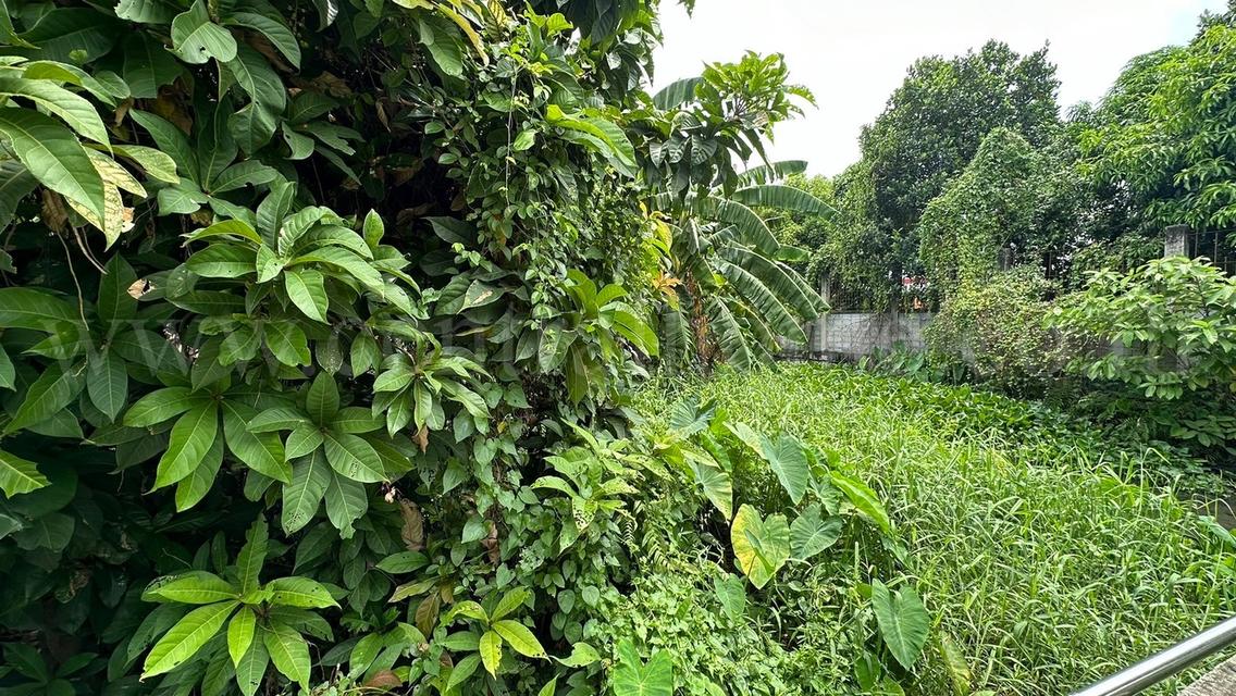 ที่ดิน 80.6 ตร.ว. ซอยจรัญสนิทวงศ์ 3 (ซอยสมชาย) ที่ริมคลอง ราคาถูกมาก 6