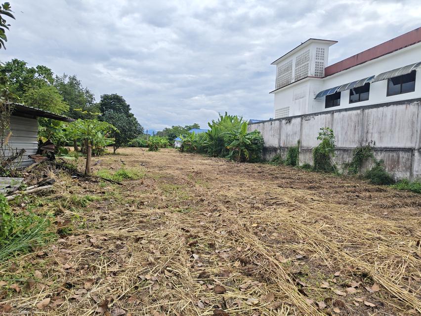ที่ดินพร้อมอาคาร ห้องแถว โกดังเก็บของ 11