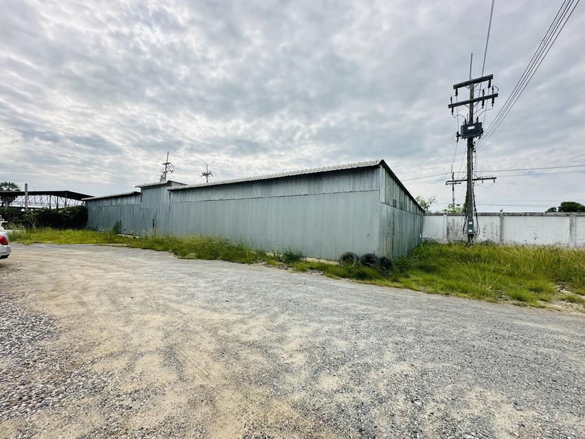ขายที่ดินพร้อมโกดัง  ใกล้ถนนสุวินทวงศ์ อำเภอเมืองฉะเชิงเทรา  7