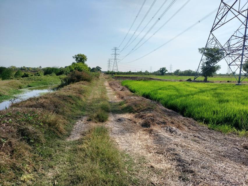 ขายที่ติดถนน170ไร่ ปทุมธานี 4