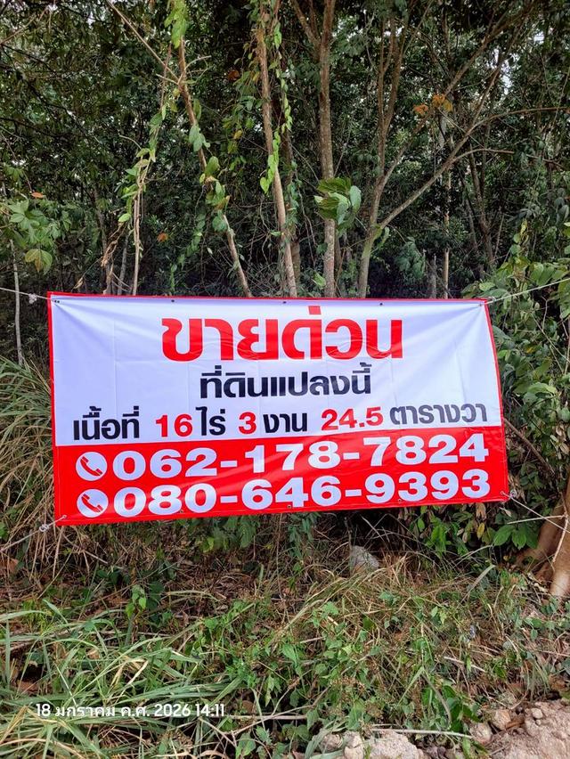 🔥 ขายที่ดินสวนยาง แปลงสี่เหลี่ยมสวย ปลวกแดง ระยอง ทำเลทอง EEC ใกล้นิคมฯ เหมาะเก็งกำไรหรือทำจัดสรร 🔥 1