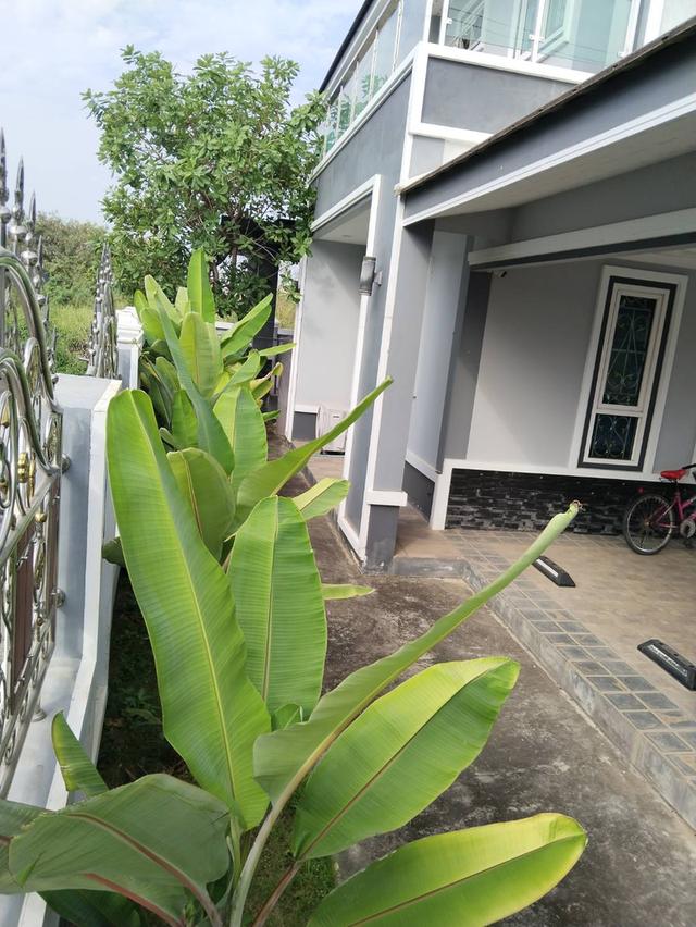 บ้านเดี่ยวหลังใหญ่พื้นที่เยอะ จ.พิษณุโลก 3