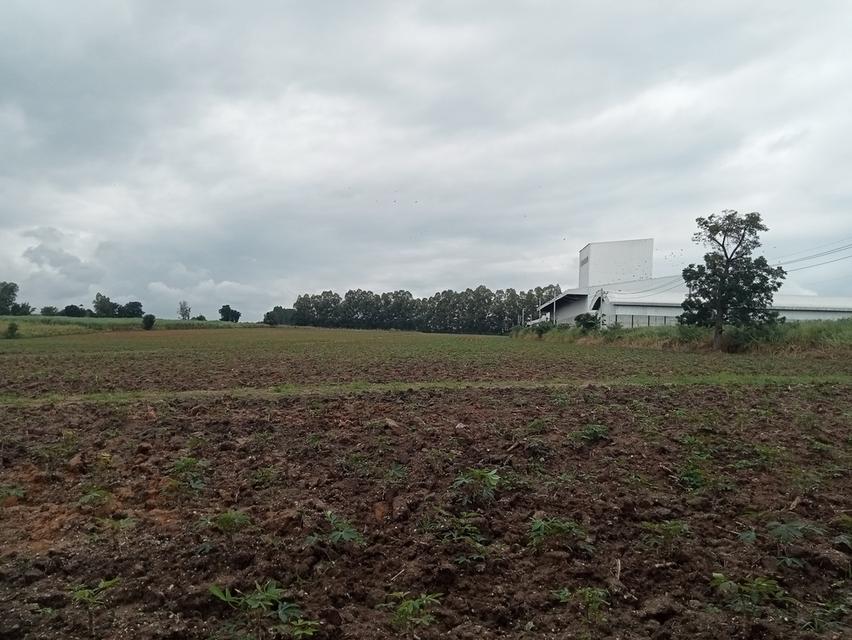 ขายที่ดิน ปักธงชัย ใกล้สหกรณ์ ลาน3 1