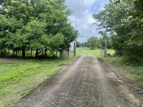 (ขาย)ที่ดิน 200 ตารางวา มีโฉนด ถมแล้วเต็มพื้นที่ หน้าโรงพยาบาลปากพลี ขาย 7 แสนบาท 17