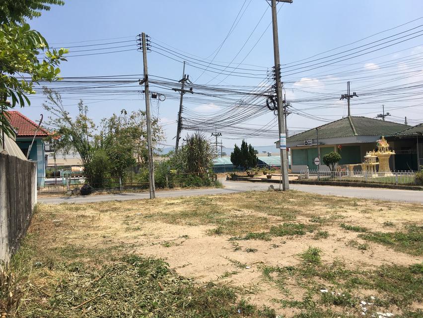 อยู่สะดวกสบาย ทำเลดี 50 ตรว. 5