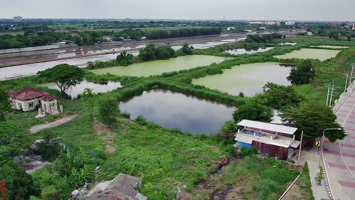 ที่ดินเปล่า 46-1-29ไร่ ไมตรีจิตร นิมิตรใหม่ คลองสามวา มีนบุรี กทม 1