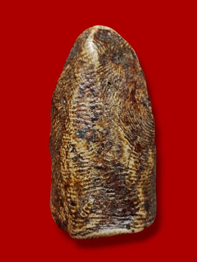 พระรอด 2