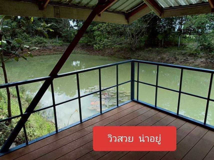 ขายบ้านพร้อมที่ดิน เนื้อที่10ไร่ อ.เพ็ญ จ.อุดรธานี