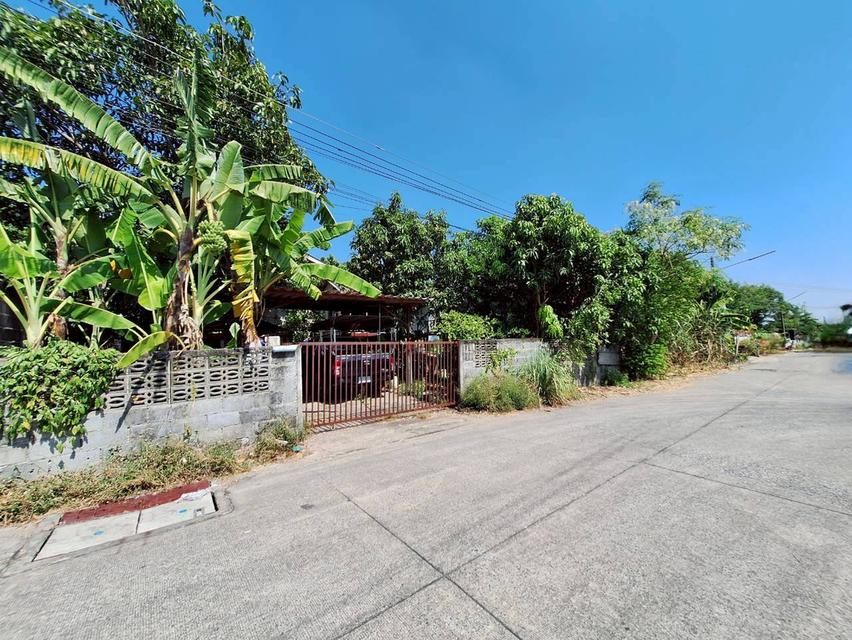 ที่ดินพร้อมสิ่งปลูกสร้าง ซอยไสวประชาราษฎร์ 33 (ร่วมสุข8) ลำลูกกาคลอง 4 ถนนลำลูกกา ต.ลาดสวาย อ.ลำลูกกา จ.ปทุมธานี 2
