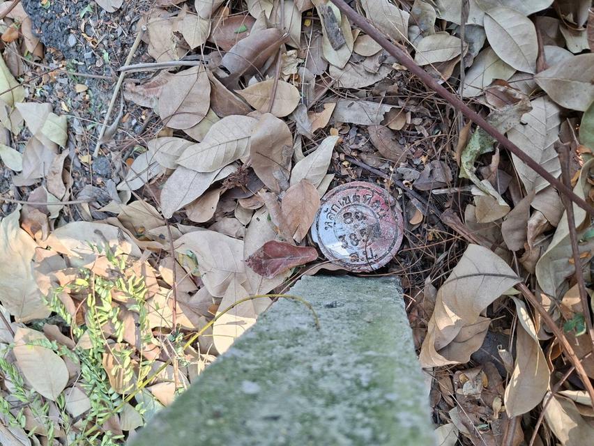 ขายที่ดินบางกะเจ้า 300 ตร.ว. ใกล้สวนศรีนครเขื่อนขันธ์ หน้าติดถนน หลังติดคลอง 6