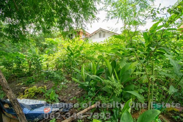ขายที่ดินถมแล้ว ซอยเวิร์คพอยท์ บางพูด เมืองปทุมธานี 6