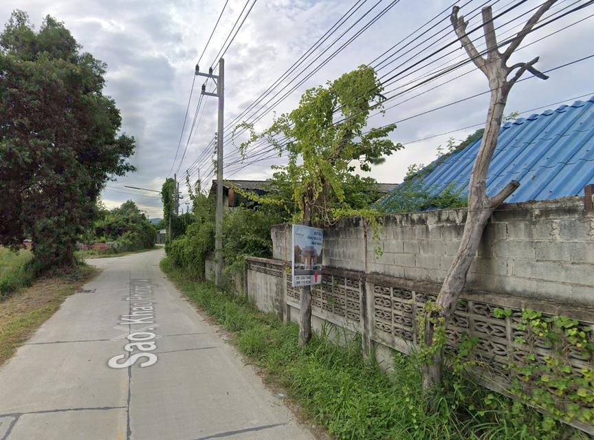 ที่ดินผังสีชมพู หนองข้างของ ชลบุรี 10