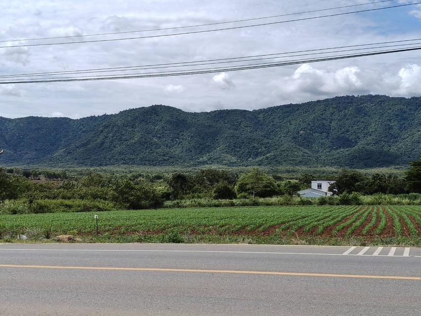 ขายที่ดินเขาใหญ่ ติดถนน3052 หมูสี ปากช่อง ที่ดิน 4 ไร่ติดถนนใหญ่ ใกล้ธนะรัชต์ ทางไปทอสคานา โป่งตาลอง ใกล้คีรีมายา วิวอุทยานเขาใหญ่ เลือดไทย 0879074045 5
