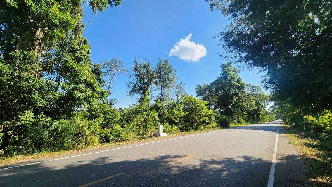 [ขายด่วน!] ที่ดินแปลงใหญ่ 76 ไร่เศษ ติดถนนพหลโยธิน ต. สมอโดน อ.บ้านตาก จ.ตาก หน้ากว้างสวย 425 เมตร ทำเลดี ติดห้วยธรรมชาติ เหมาะลงทุนและทำเกษตร 4