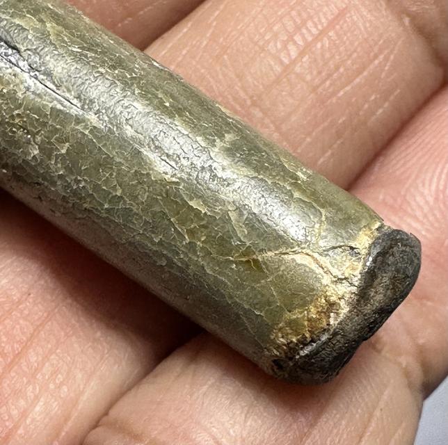 ตะกรุดสาลิกาหลวงปู่ศุขวัดปากคลองมะขามเฒ่า ผ่านการใช้เชือกหลุดหาย 10