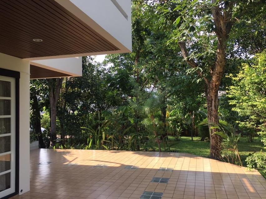 ให้เช่าบ้านเดี่ยว 2 ชั้น หลังใหญ่ 340 ต.ร.วา ซอยปรีดีพนมยงค์14 ถนนสุขุมวิท71 ใกล้เอกมัย ทองหล่อ จอดรถได้ 15 คัน 4