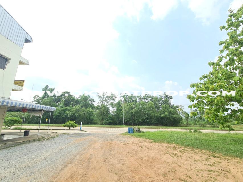 ที่ดินติดถนน ถ.เฉลิมพระเกียรติ ร.9 อ.หนองใหญ่ จ.ชลบุรี 4