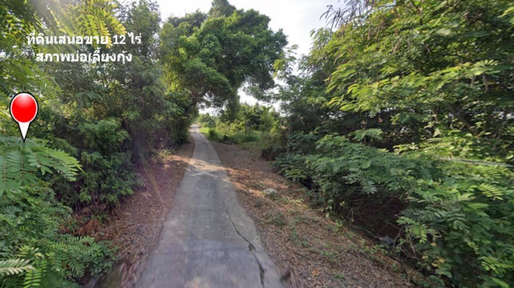 ขาย ที่ดิน ติดถนนเลียบคลองจางวาง ใกล้แม่น้ำบางปะกง อ.บ้านโพธิ์ แปลงสวย 12 ไร่ ติดโครงการบางปะกงริเวอร์ไซด์ พร้อมโอน ฟร