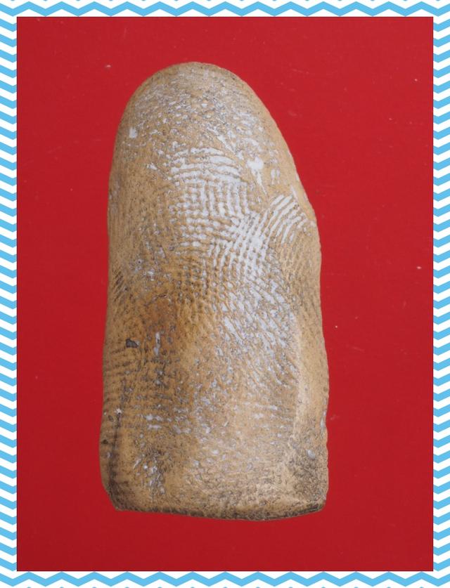 a99.พระรอด พระเบญจภาคี พระเครื่อง 2