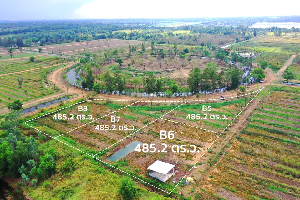 ที่ดินทำเลทอง โครงการบ้านสวนคลอง 14  อ.องครักษ์ นครนายก  เริ่มต้น 5,900 ต่อ ตารางวา  18