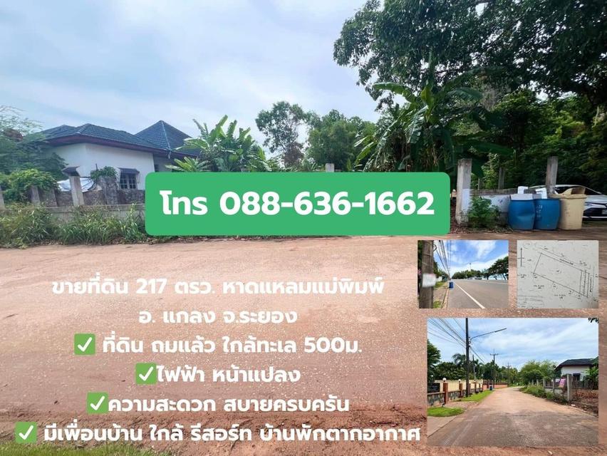 ขายที่ดิน 217ตรว. ใกล้ทะเล 500ม. ถมแล้ว แปลงมุม หาดแหลมแม่พิมพ์ อ.แกลง ระยอง (ไม่เปลี่ยว ความสะดวกครบครัน) 11