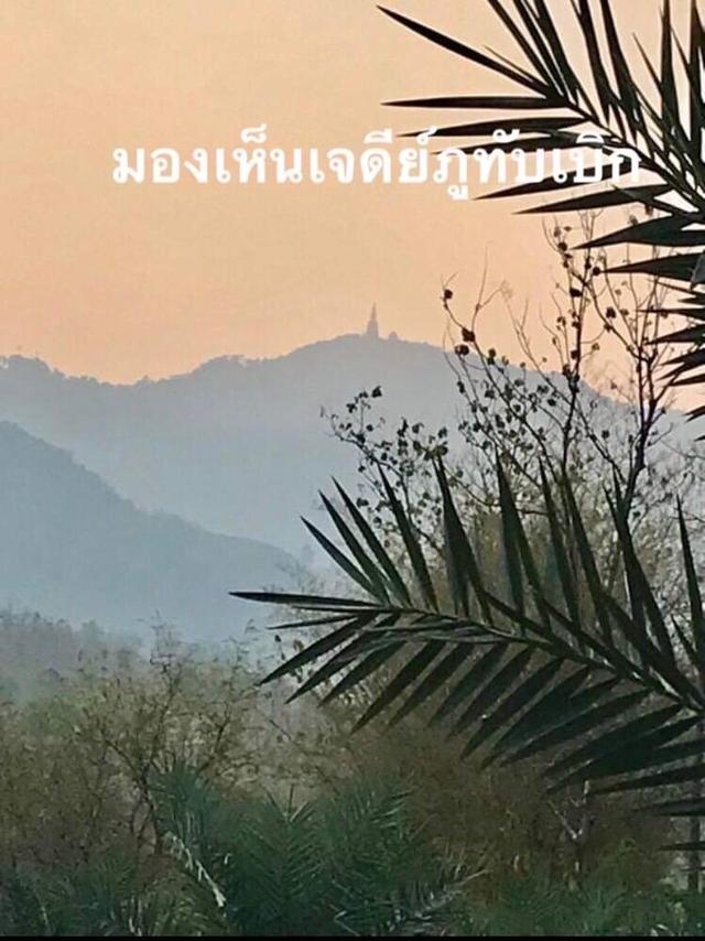 ที่ดินแถมต้นอินทผลัม ทางขึ้นภูทับเบิก 16