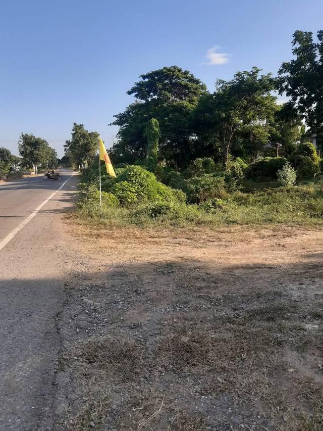 ขายที่ดินจังหวัด นครสวรรค์ ตำบลพนมรอก อำเภอท่าตะโก จำนวน 4 ไร่ 2 งาน 98 ตารางวา ติดถนน ขุดบ่อ มีบ้านพร้อมน้ำไฟ 2.5 ล้านบาท 5