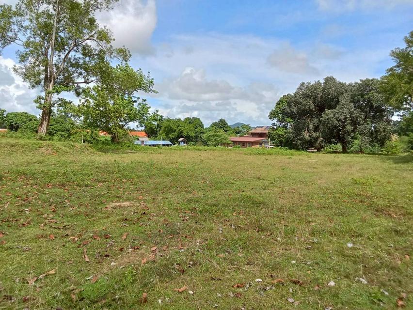 ขายที่ดิน เกาะสมุย land for sale samui 9