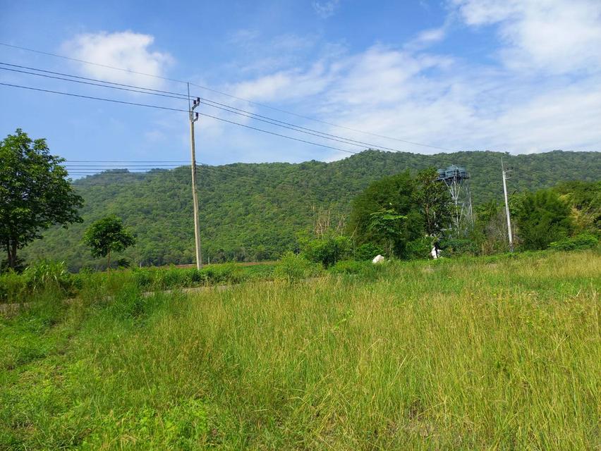 ขายที่ดิน 3 ไร่ 1