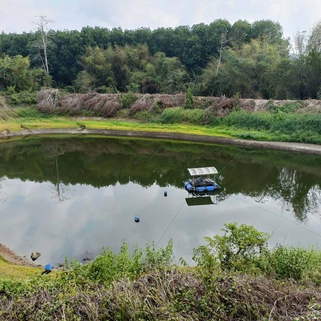 📣ขายสวนทุเรียน100ไร่ เขาไร่ยาอำเภอเมืองจันทบุรี 8