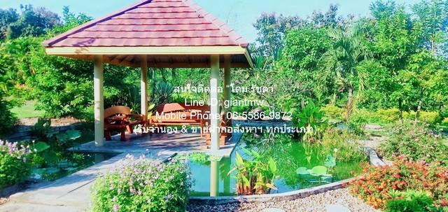 ที่ดิน ขายบ้านสวนสไตล์รีสอร์ตบาหลี แม่แตง จ.เชียงใหม่ (ติดถนนหลัก และด้านหลังติดคลองธรรมชาติ) 5-2-46 ไร่ ราคา 22 ล้าน HO 4