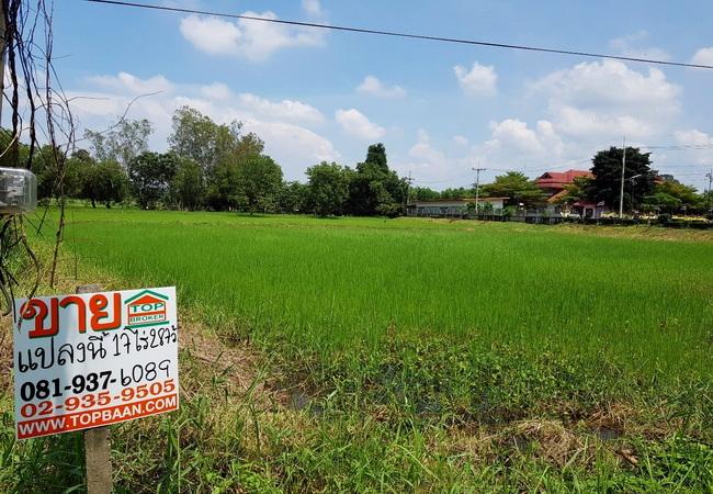 ขายที่ดิน หน้าเทศบาลสนามชัยเขต ฉะเชิงเทรา เนื้อที่ 17-2-87 ไร่ ทำเลดี ติดถนนใหญ่ 7