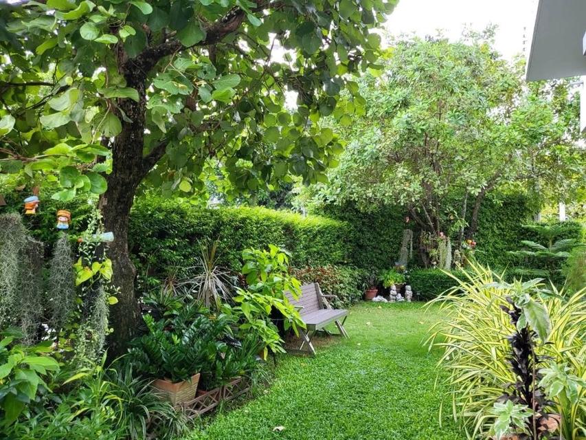 ขายบ้านเดี่ยว Venue พระราม 5 บางไผ่-นนทบุรี ตกแต่งพร้อมเข้าอยู่ ทำเลดี ใกล้ MRT แยกติวานนท์ 4