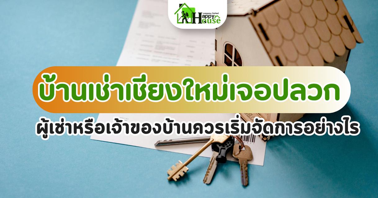 บ้านเช่าเชียงใหม่เจอปลวก