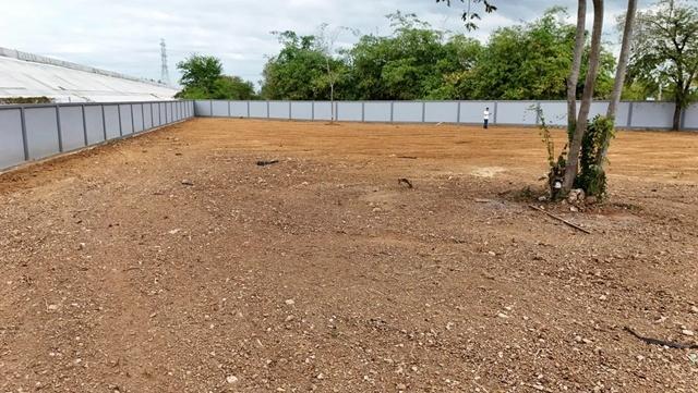 วัดพรานนก 700 ม.ให้เช่าที่ดินถมแล้ว อยุธยา 900 ตร.วา.19,999 B-M.ติดมอเตอร์เวย์ M6 น้ำไม่ท่วม ทำเลศักยภาพสูง 6