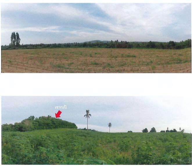 ขายที่ดินเปล่า แปลงใหญ่  ทำเลศักยภาพ อำเภอบางละมุง จังหวัดชลบุรี 5