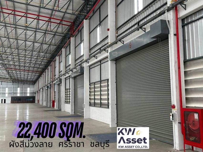 ให้เช่าโรงงาน/โกดัง 22,400 ตรม. เขาคันทรง ศรีราชา จ.ชลบุรี  🟪#ผังสีม่วงลาย  ☑️ เนื้อที่ดิน 25 ไร่  ☑️ ขนาดโรงงาน 22,400 ตรม 5