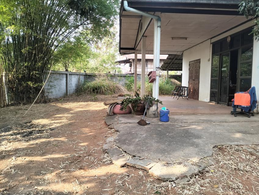 บ้านพร้อมที่ดิน ต.ละหาน อ.จัตุรัส จ.ชับภูมิ 5