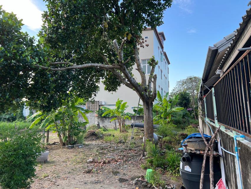 ขายที่ดิน 54 ตรว ราไวย์ ภูเก็ต 4