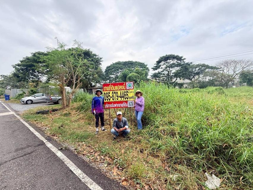 Vายถูกที่ดิน 50 ตารางวา ติดถนนลาดยางสาธารณะ ซอยสกุลช่าง บางบัวทอง นนทบุรี 2