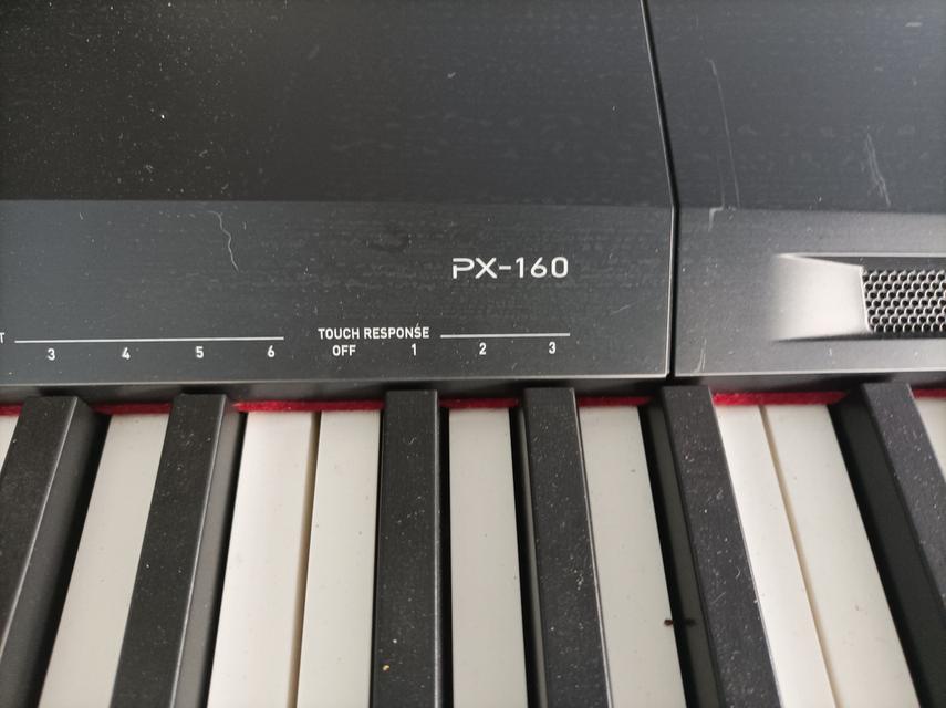 เครื่องเล่นดนตรี CASIO